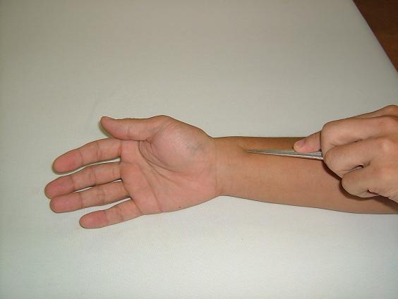 ��㞌��̎挊�ʐ^